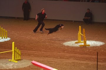 Bild 41 - Hansepferd Gala am 18.4.10